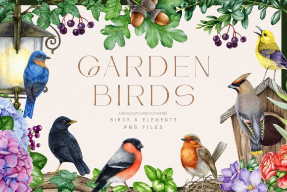 Download Garden Birds Watercolor Illustration Set - Illustration Collection